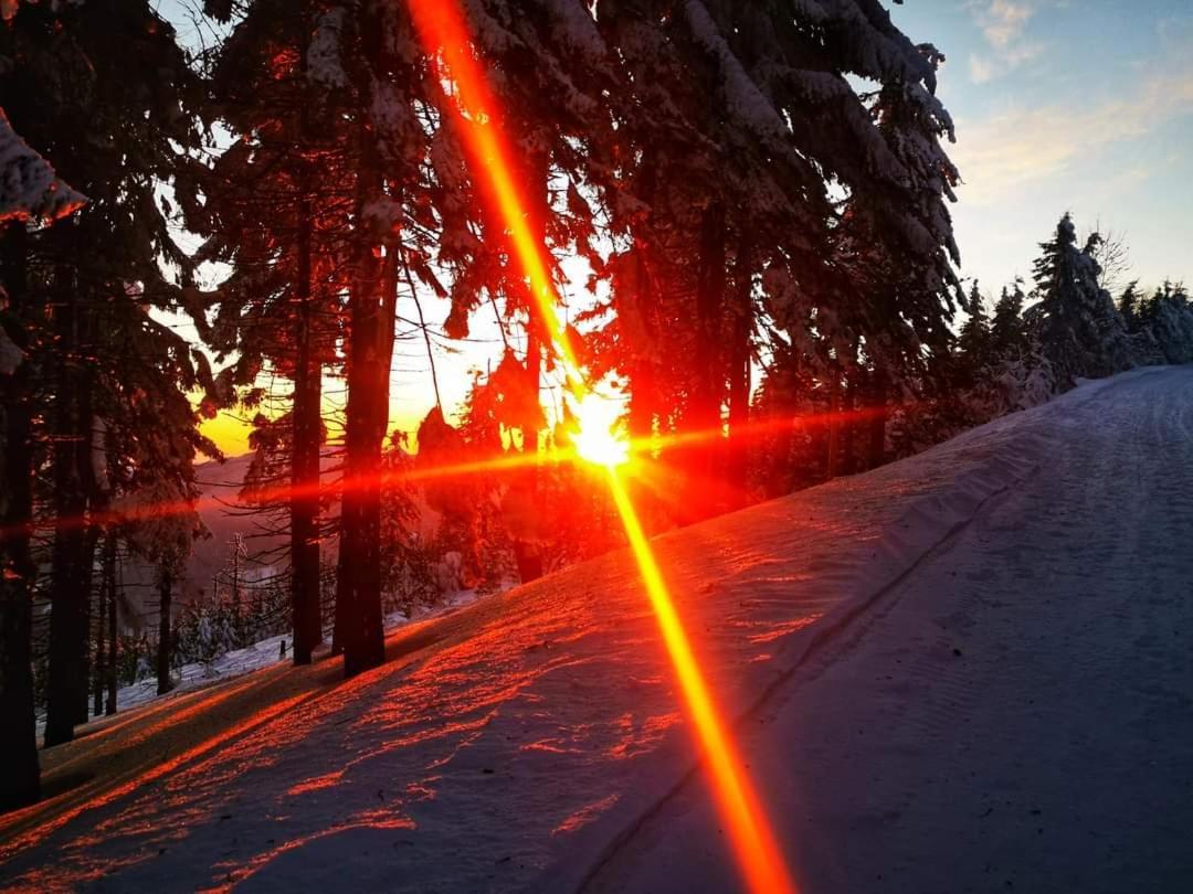 Penzion PALMA Frýdlant nad Ostravicí Esterno foto