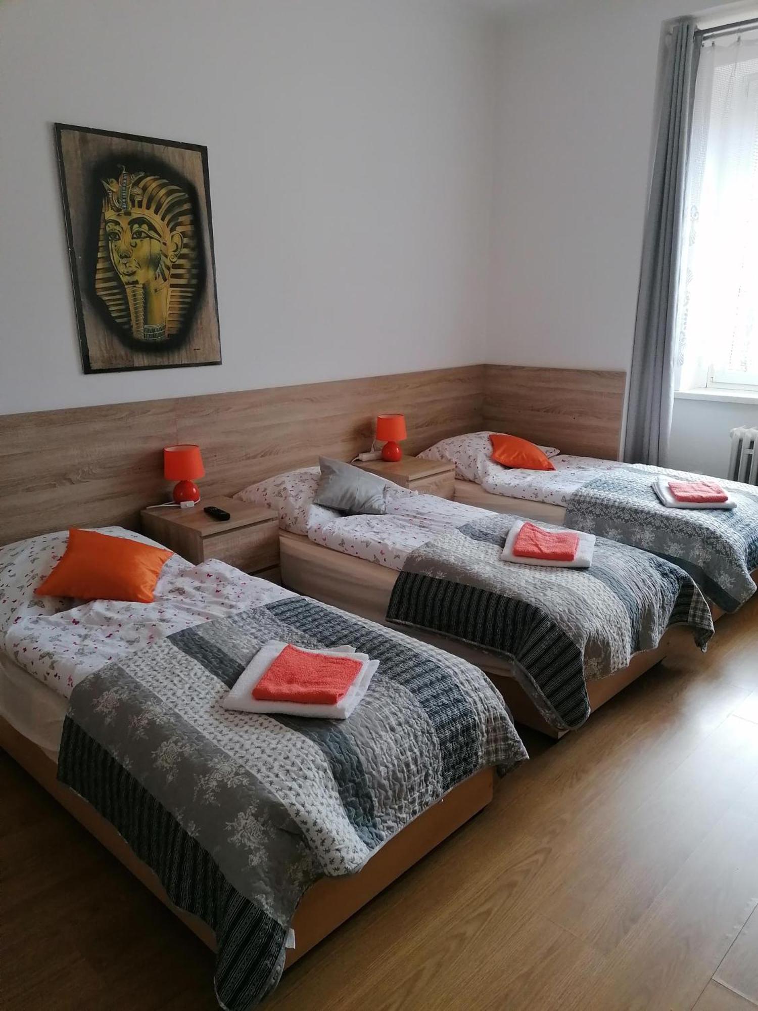 Penzion PALMA Frýdlant nad Ostravicí Esterno foto
